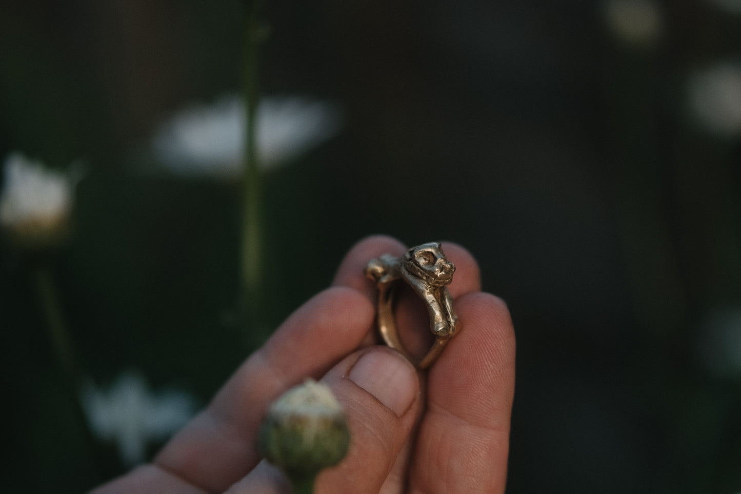 Leo ring