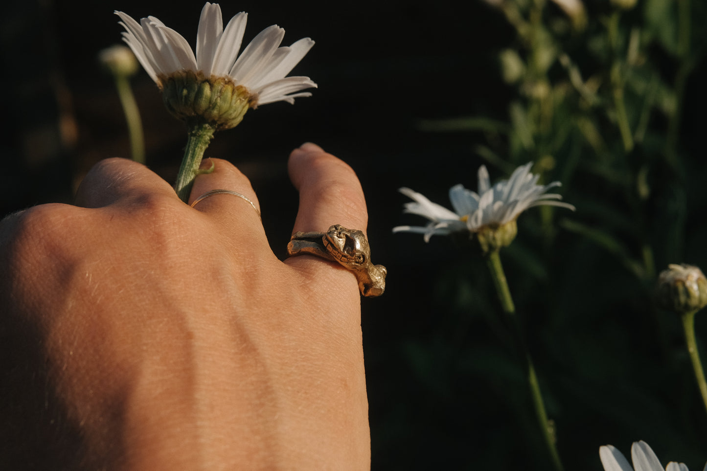 Leo ring